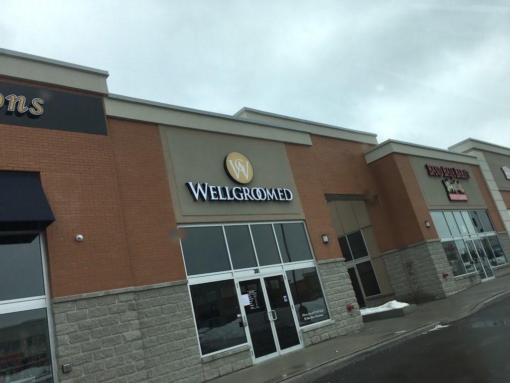 Wellgroomed | 30 Maritime Ontario Blvd #30, Brampton, ON L6S 0C2, Canada | Phone: (647) 300-1625