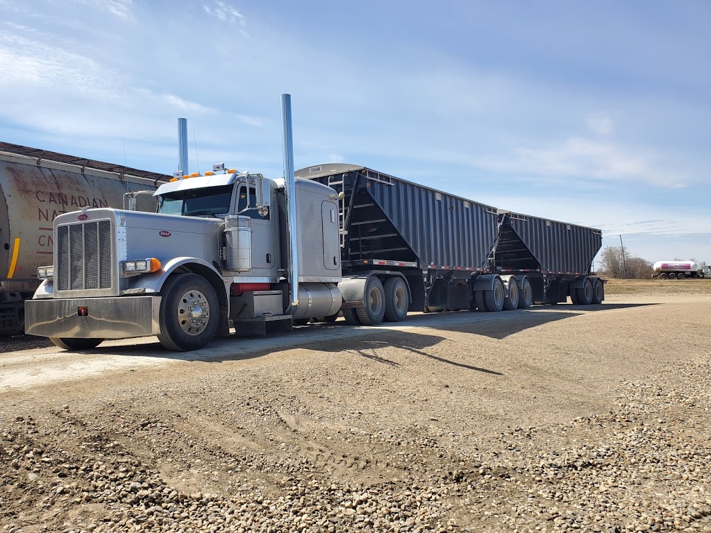 E&T Borstmayer Farms Ltd | NW 31 39 25 W2, Bruno, SK S0K 0S0, Canada | Phone: (306) 369-7774