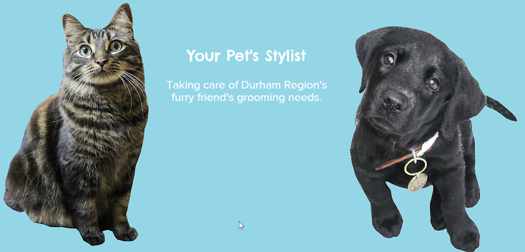Short n Sweet Pet Grooming | 379 Prince of Wales Dr, Whitby, ON L1N 6M8, Canada | Phone: (289) 685-3364