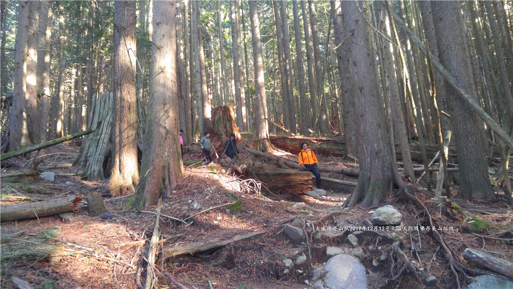 Powerline Trail | Powerline Trail, North Vancouver, BC V7R 4X4, Canada