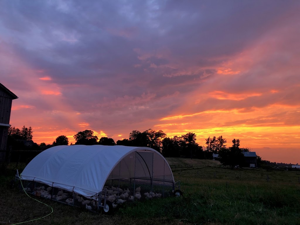 WindRose Farm | 516134 11 Line, Tavistock, ON N0B 2R0, Canada | Phone: (519) 533-7556