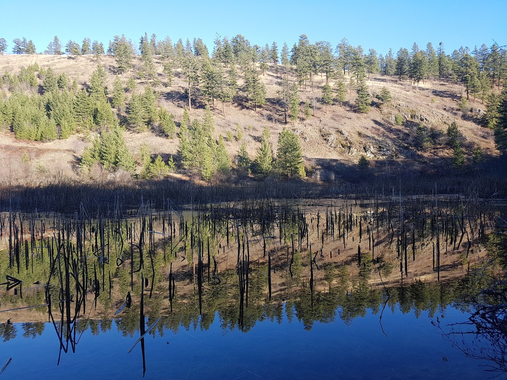 North Glenmore Dog Park | 2150 Glenmore Rd N, Kelowna, BC V1V 2C5, Canada | Phone: (250) 469-8503