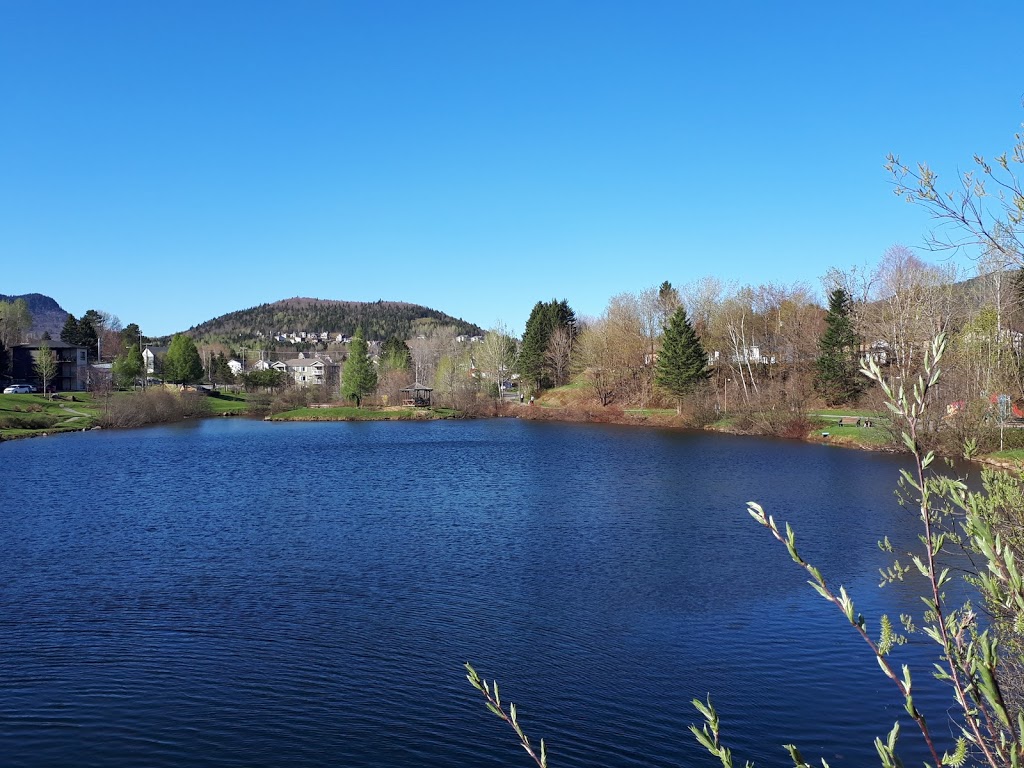 Parc Richelieu | 395 Avenue Ste Brigitte, Sainte-Brigitte-de-Laval, QC G0A 3K0, Canada