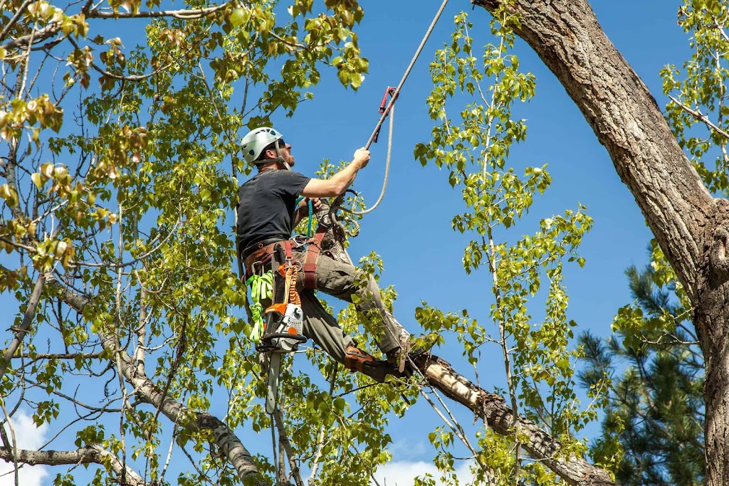 Quebec Pruning—Tree Services | 1820 Bd Bastien, Québec, QC G2B 1C5, Canada | Phone: (418) 952-8685