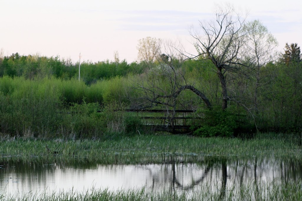 Lake Alice Wildlife Management Area | West Chazy, NY 12992, USA | Phone: (518) 897-1291