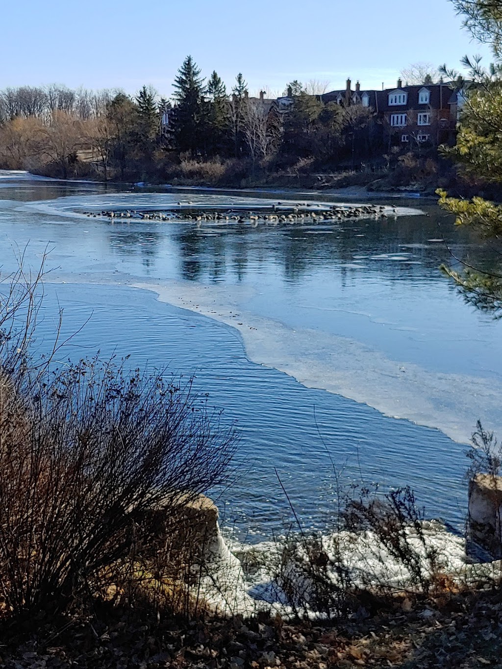 Public bench near pond/lake | 24 Lehar Ct, Brampton, ON L6S 5V1, Canada