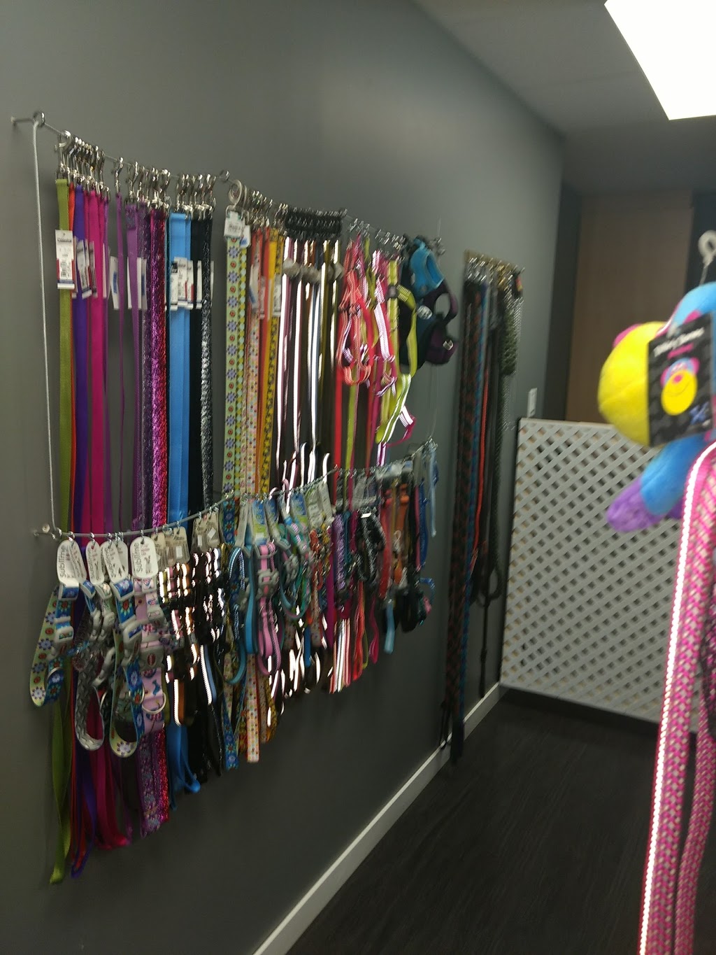 The Pet Store | 622 Main St, Oakbank, MB R0E 1J0, Canada | Phone: (204) 770-5743