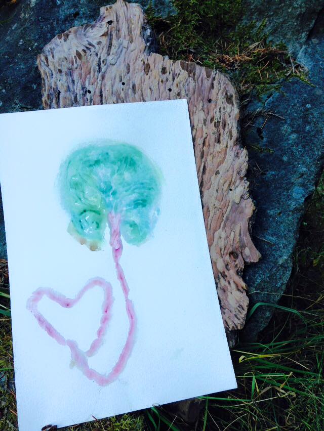 Qi of Life Encapsulation | 1740 Woobank Rd, Nanaimo, BC V9X 1M8, Canada | Phone: (250) 323-3522