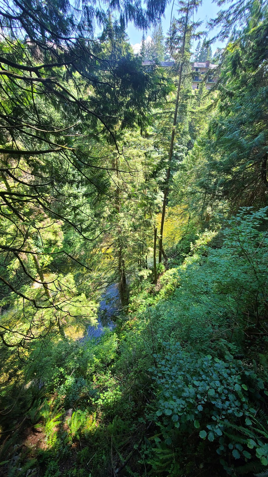 Capilano Suspension Bridge Park | 3735 Capilano Rd, North Vancouver, BC V7R 4J1, Canada | Phone: (604) 985-7474