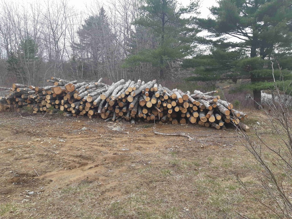 SAM Firewood | 398 Pockwock Rd, Upper Hammonds Plains, NS B4B 1N7, Canada | Phone: (902) 864-4650