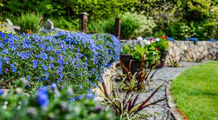 Noisy Acres Garden Estates | 13660 Hill Rd, Ladysmith, BC V9G 1G7, Canada | Phone: (250) 245-1116