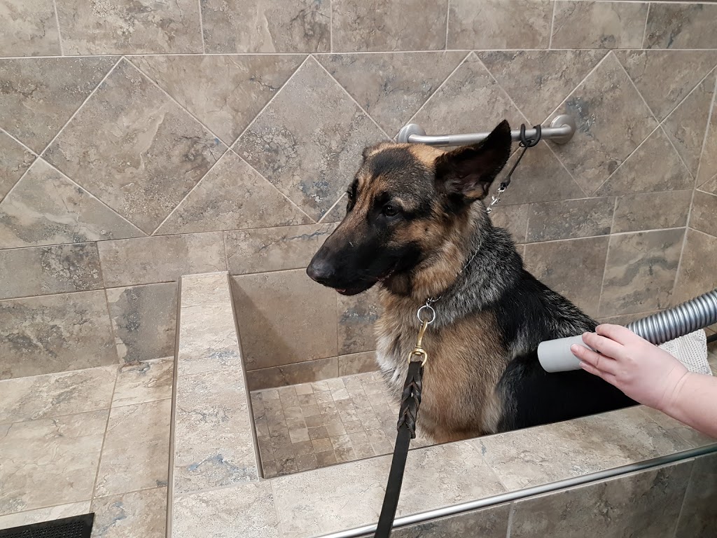 Pet Valu | 502 Riddell Rd, Orangeville, ON L9W 5L1, Canada | Phone: (519) 943-0844