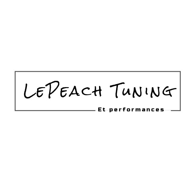 LePeach Tuning & Performances | 87 Rue Maria, LaSalle, QC H8R 3L9, Canada | Phone: (514) 515-6152