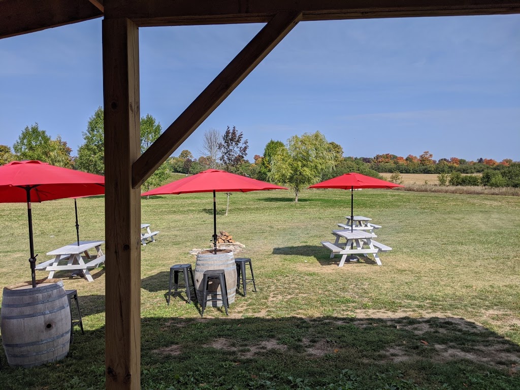 Redtail Vineyards | 422 Partridge Hollow Rd, Consecon, ON K0K 1T0, Canada | Phone: (613) 965-0893