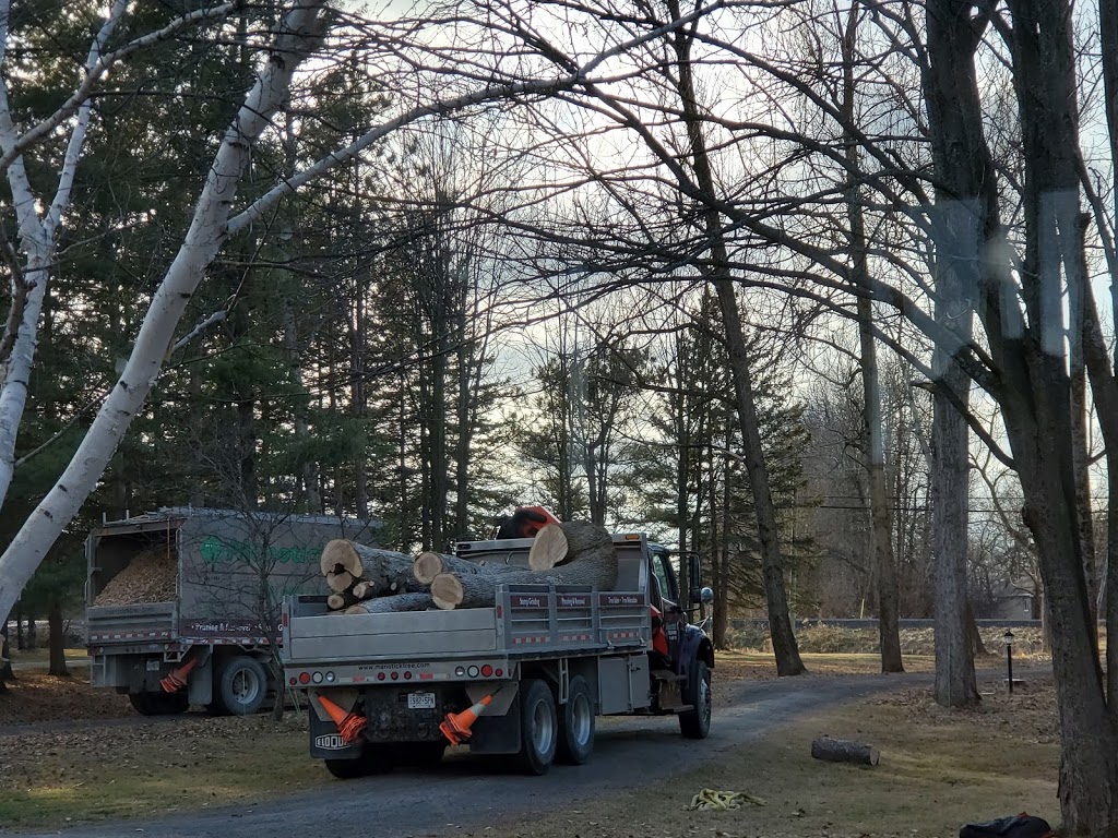 Manotick Tree Movers | 1966 Carsonby Rd W, North Gower, ON K0A 2T0, Canada | Phone: (613) 489-1116