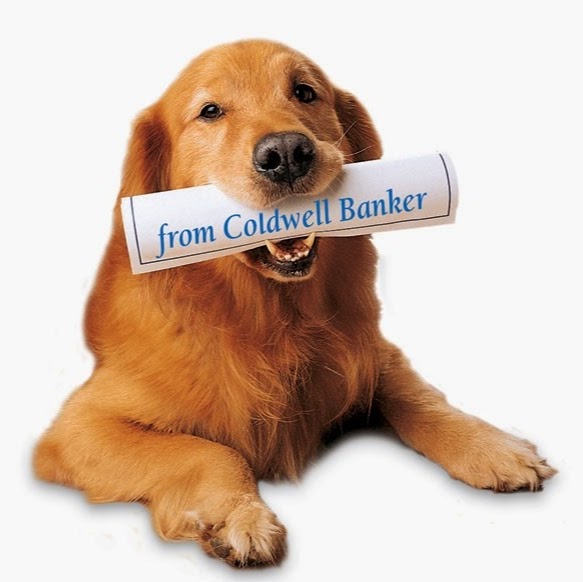 Coldwell Banker MacPherson Real Estate Ltd. (Property Management | 5489 Kingsway Suite 101, Burnaby, BC V5H 2G1, Canada | Phone: (778) 882-0211