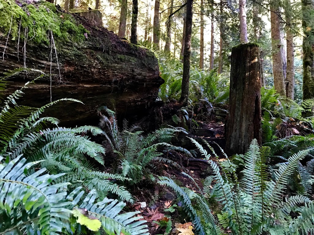 Eves Provincial Park | 8109 Little Mountain Rd, Duncan, BC V9L 6B4, Canada