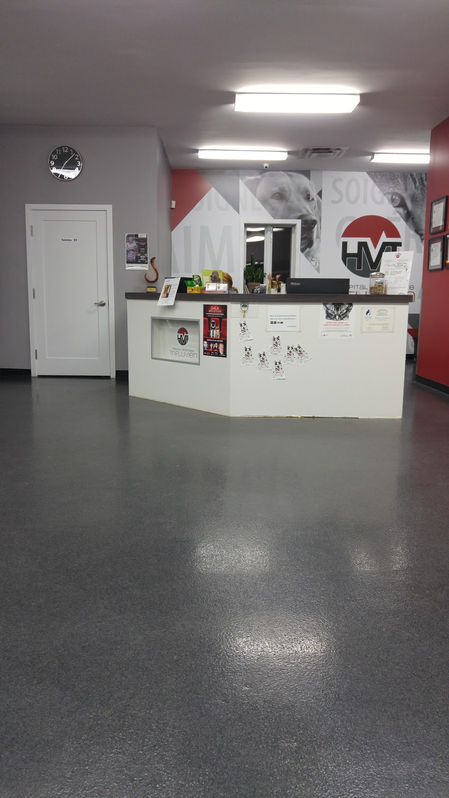 Veterinary Hospital Trifluvien inc. | 420 Rue Vachon, Trois-Rivières, QC G8T 8Y2, Canada | Phone: (819) 909-7220