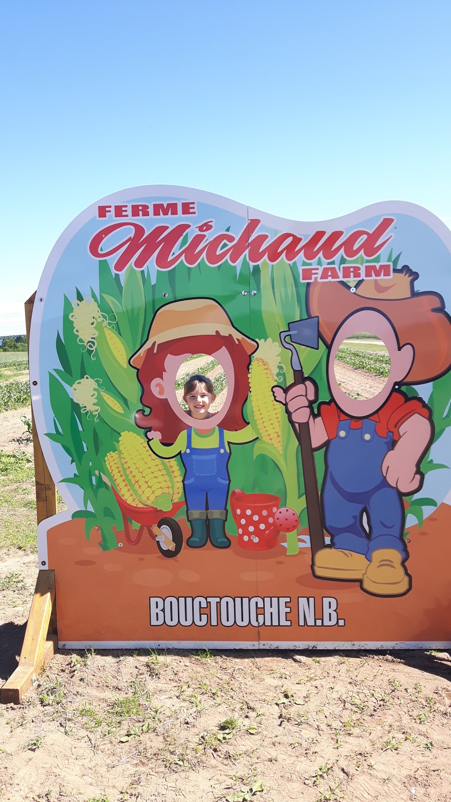 La Ferme Michaud Ltée. / Michaud Farm Ltd. | 739, NB-475, Baie de Bouctouche, NB E4S 4N9, Canada | Phone: (506) 743-6947