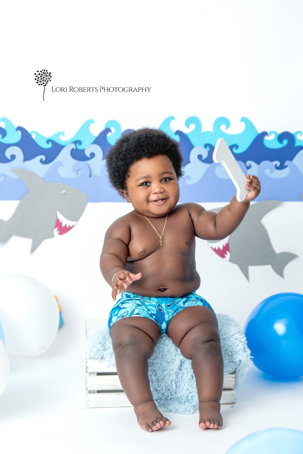 Lori Roberts Photography | 244 Northminster Ct, Oshawa, ON L1G 7M6, Canada | Phone: (705) 920-2263