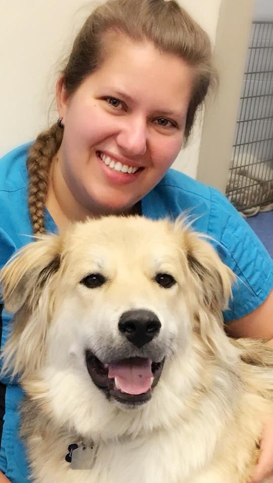 West Springs Veterinary Hospital | 917 85 St SW, Calgary, AB T3H 5Z9, Canada | Phone: (403) 249-7387