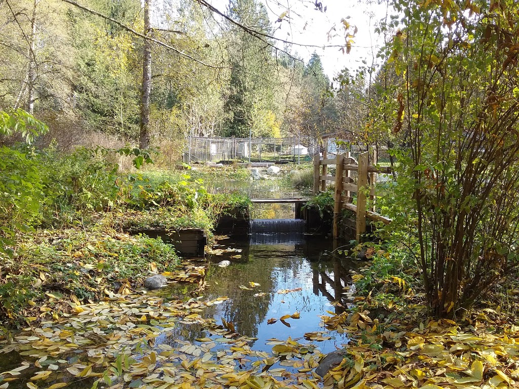 Kanaka Creek Watershed Stewardship Center and BellIrving Hatche 11450 256 St, Maple Ridge, BC Kanaka Creek Watershed Stewardship Center and BellIrving Hatche 11450 256 St, Maple Ridge, BC