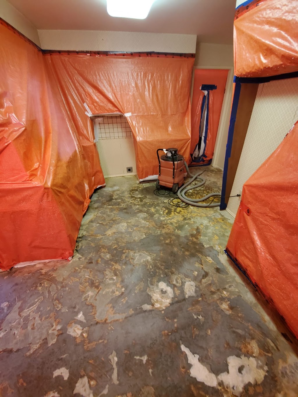 Elemental Asbestos and Mold Removal | 1253 Rockhampton Close, Victoria, BC V9B 6X4, Canada | Phone: (236) 475-8900