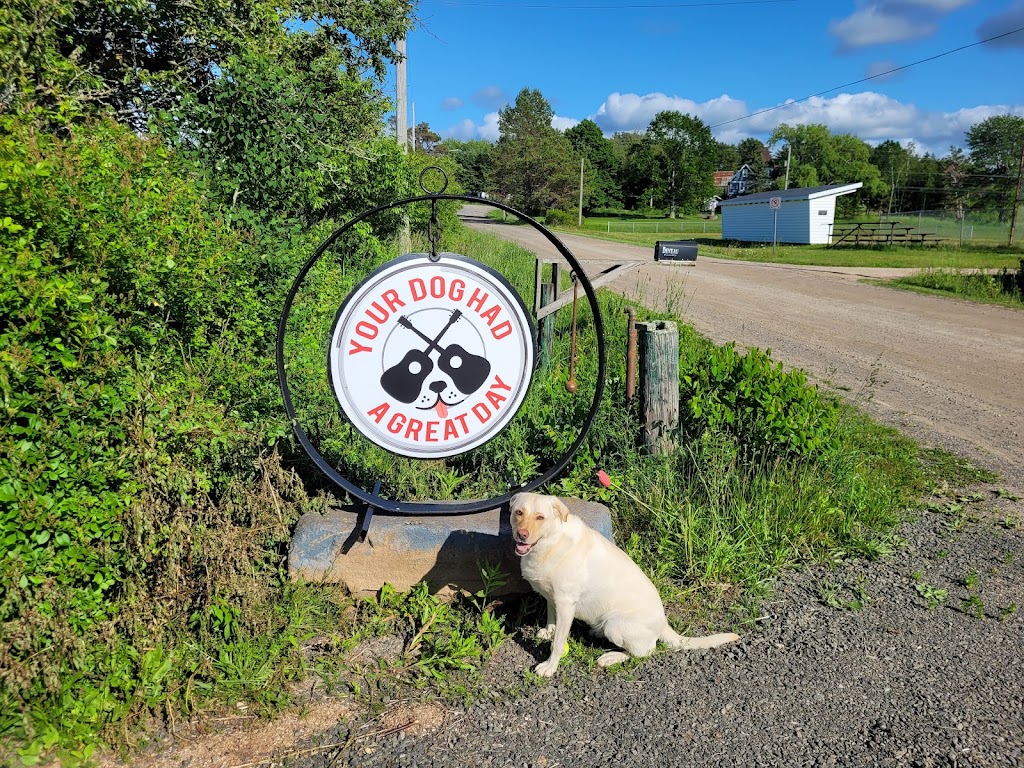 Rock & Stroll Dog Camp | 675 Marsh Rd, Round Hill, NS B0S 1A0, Canada | Phone: (902) 526-2921