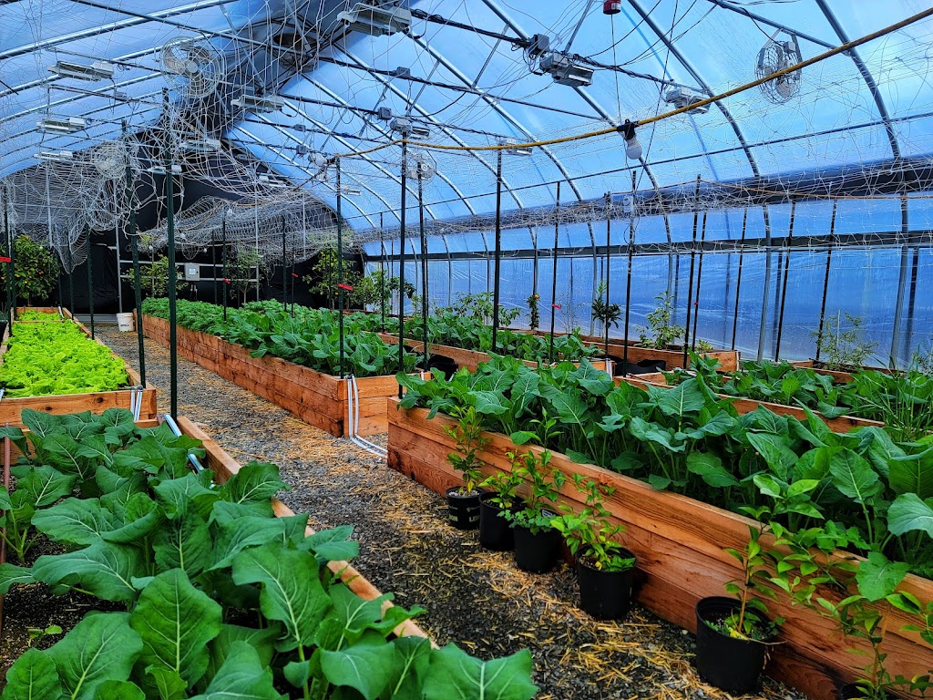 Back to Nature Acres | 3105 Frost Rd, Nanaimo, BC V9X 1S7, Canada | Phone: (778) 885-3407