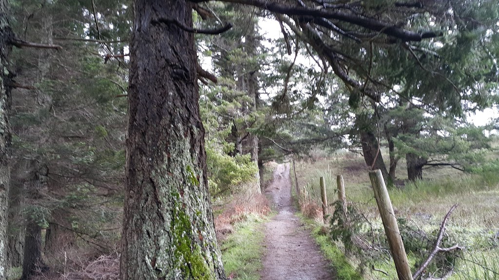 Devonian Regional Park | -4749 Canada, 4705 William Head Rd, Victoria, BC V9C 3Y7, Canada