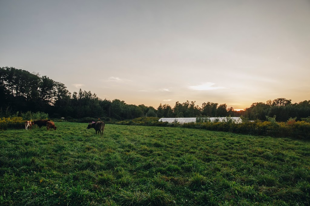 Manorun Organic Farm | 782 Hamilton Regional Rd 52, Lynden, ON L0R 1T0, Canada | Phone: (905) 648-9608