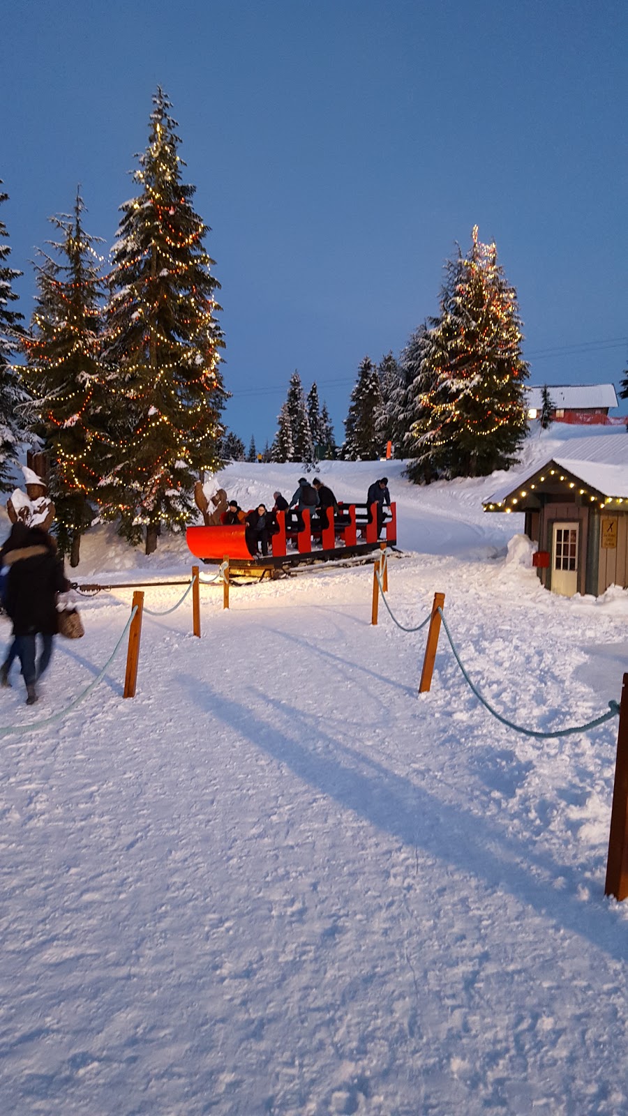 Grouse Mountain Skating Rink | North Vancouver, BC V7R 4K9, Canada