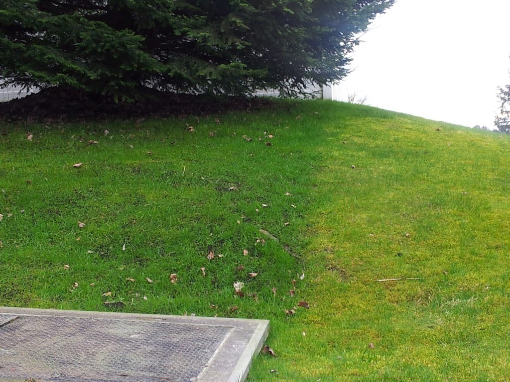The Green Man Landscape Services | 21222 Dewdney Trunk Rd, Maple Ridge, BC V2X 3E9, Canada | Phone: (778) 840-0323