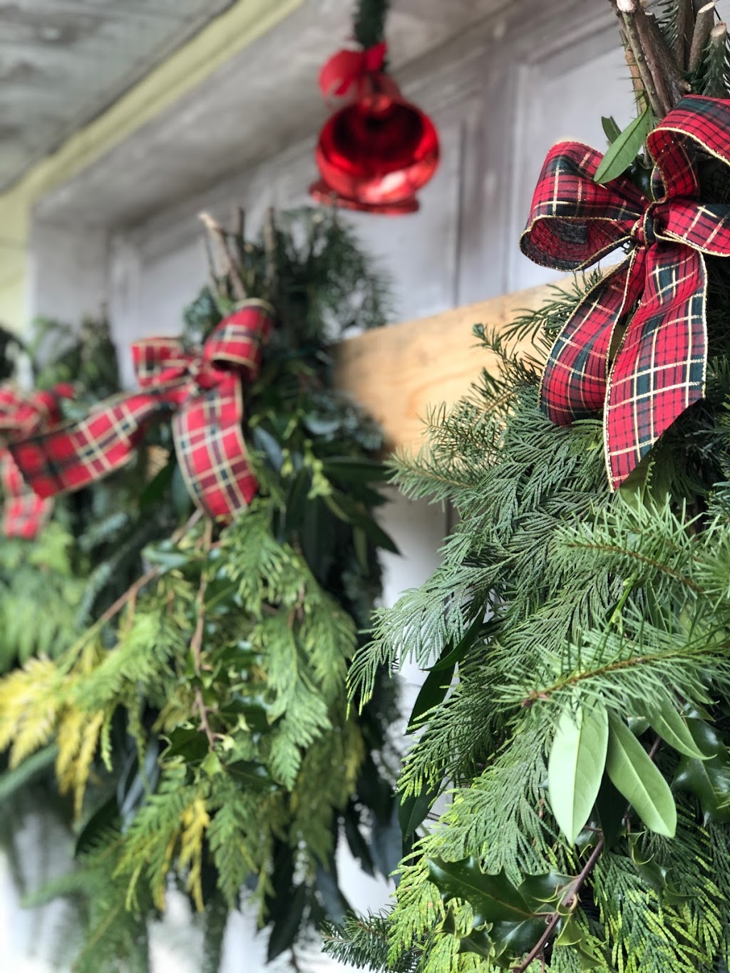 Harris Road Christmas Tree Farm | 13533 Harris Rd, Pitt Meadows, BC V3Y 2T3, Canada | Phone: (604) 460-9500