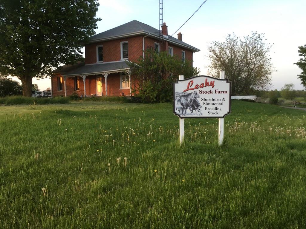 Leahy Stock Farm - Beef, Pork, Meat Birds | 3113 ON-28, Lakefield, ON K0L 2H0, Canada | Phone: (705) 927-2946