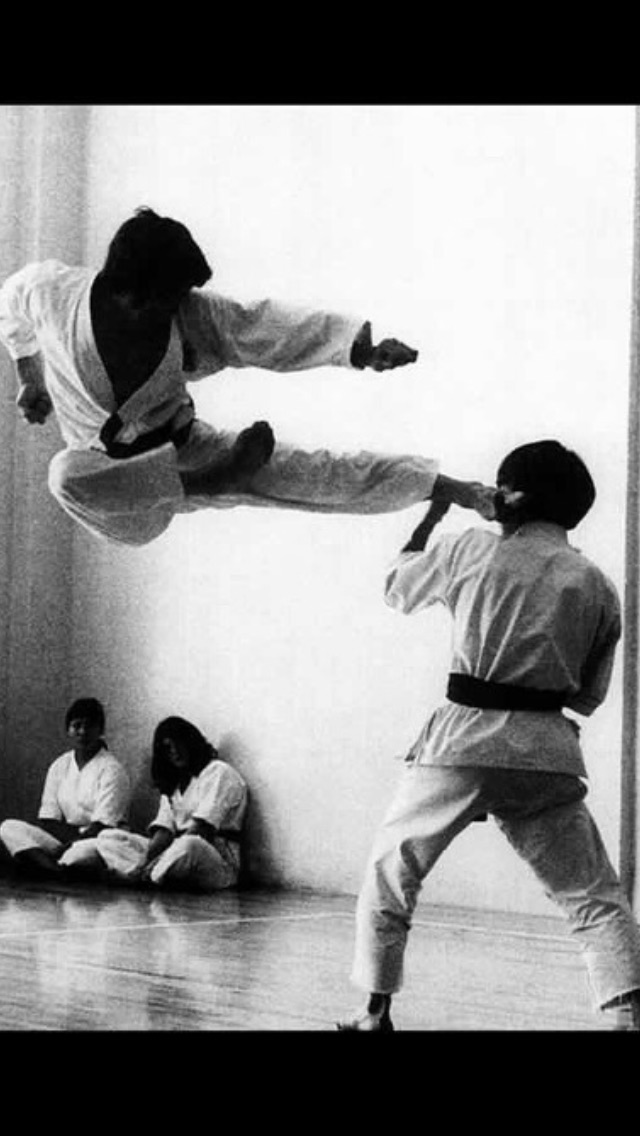 Shotokan Karate Hamilton | 1715 Main St E, Hamilton, ON L8H 1E3, Canada | Phone: (289) 828-4668