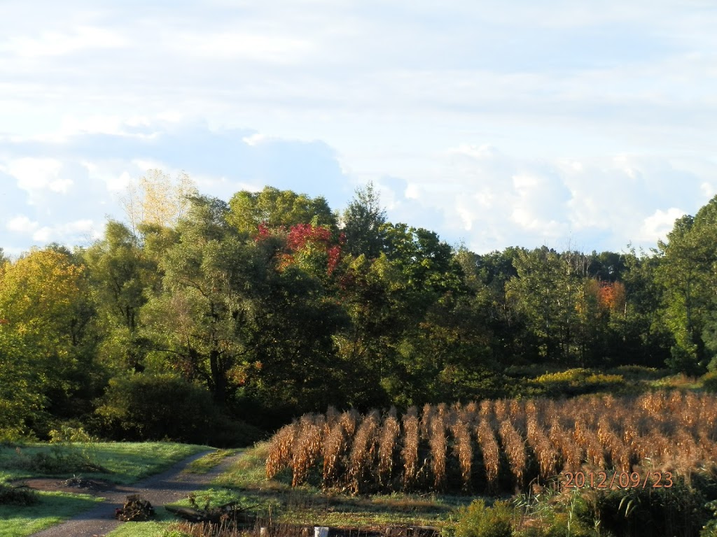 Ridge Berry Farm | 398 Canboro Rd, Ridgeville, ON L0S 1M0, Canada | Phone: (289) 897-8943