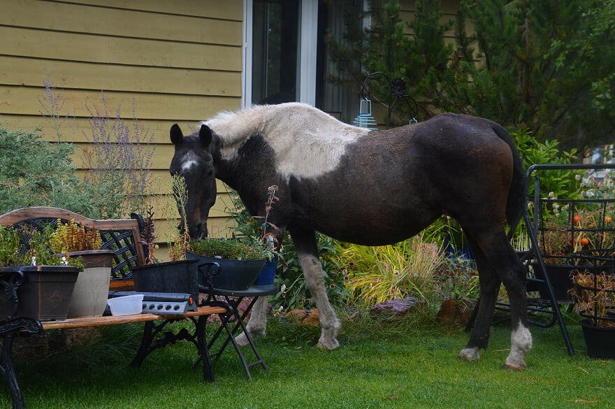Stonecross Retreat Centre | 7048 Wycliffe Rd, Cranbrook, BC V1C 7C4, Canada | Phone: (250) 919-1417