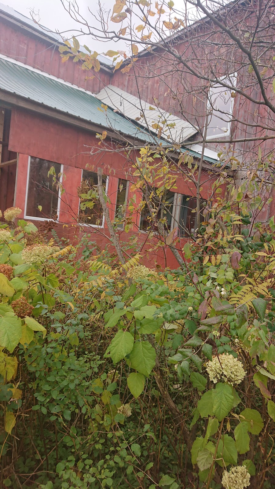 The Mill Restaurant | Williamsford, ON N0H 1R0, Canada | Phone: (519) 794-4625