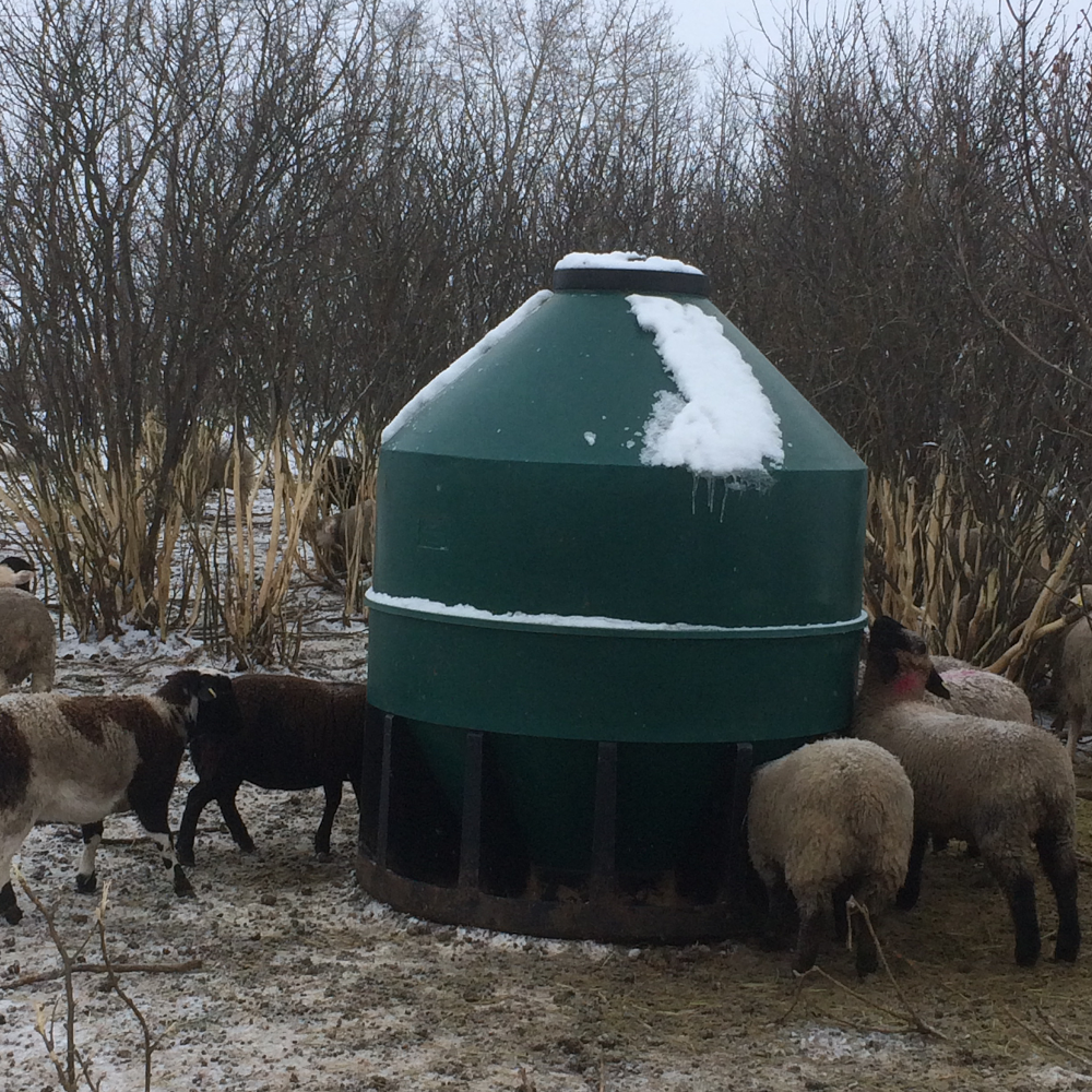 The Sheep Ranch Life | 46316 Range rd 184 Box 9, Ohaton, AB T0B 3P0, Canada | Phone: (780) 678-4661