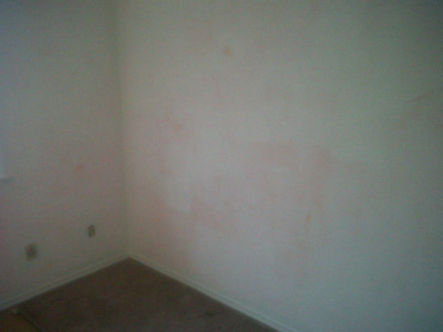 Decco Painting & Home Imprvmt | Black Cherry Crescent, Barrie, ON L4N 9K9, Canada | Phone: (705) 716-6104