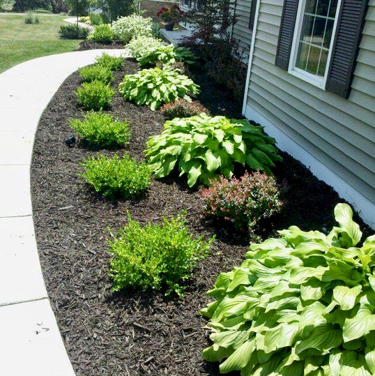 Simon’s Lawn Care | 10026 Florence St, St Thomas, ON N5P 4L7, Canada | Phone: (226) 270-6061