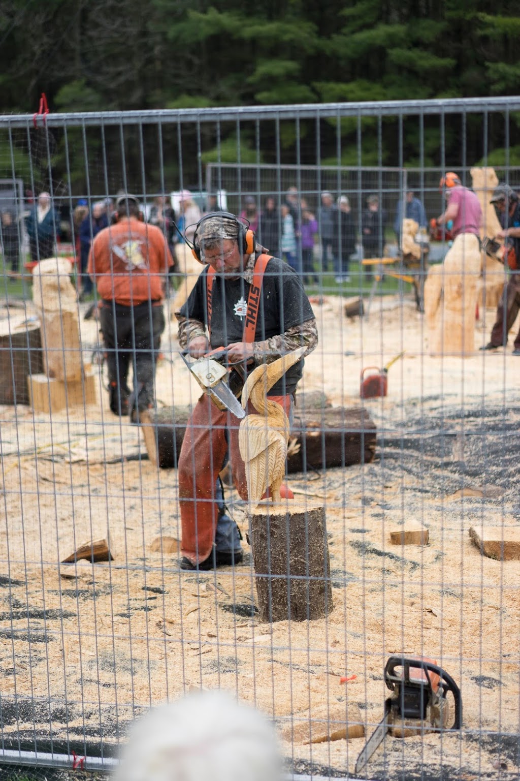 Easter Seals Camp Woodeden | 2311 Oxford St W, London, ON N6K 4P1, Canada | Phone: (519) 471-6640