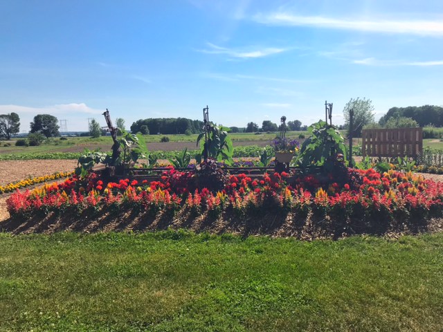 Needhams Market Garden | 1335 Ottawa Rd 29, Arnprior, ON K7S 3G7, Canada | Phone: (613) 983-6082
