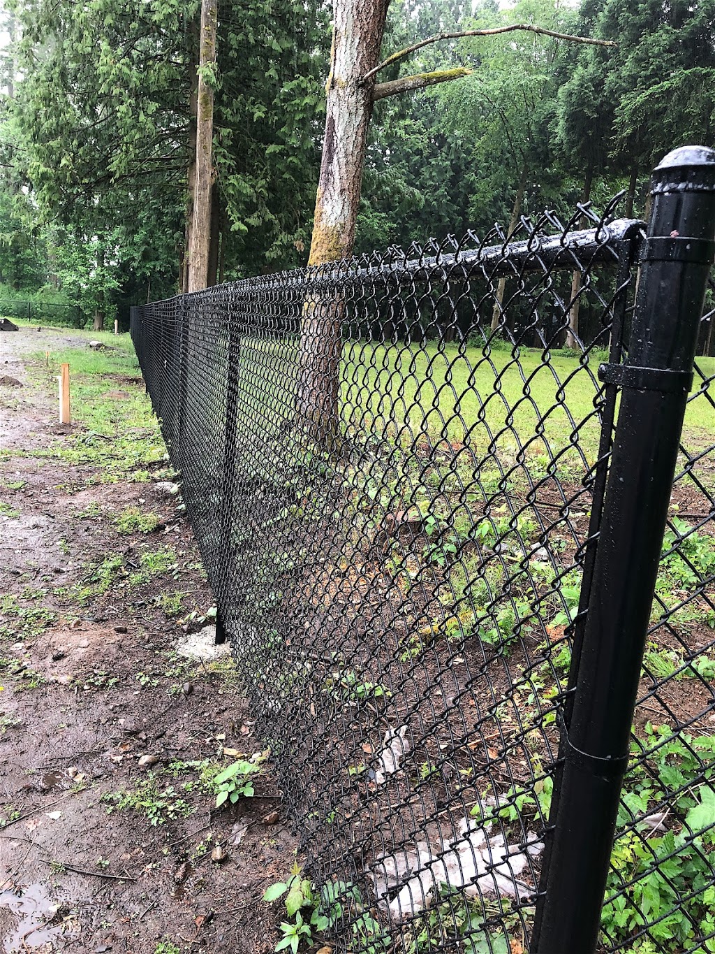 Coastal Yardworks Ltd | 5013 Dogwood Dr, Delta, BC V4M 1M7, Canada | Phone: (604) 218-4795