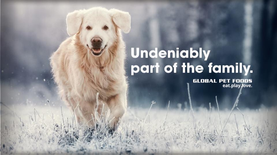 Global Pet Foods | 1876 Oxford St W Unit #5, London, ON N6K 0J8, Canada | Phone: (519) 657-1549