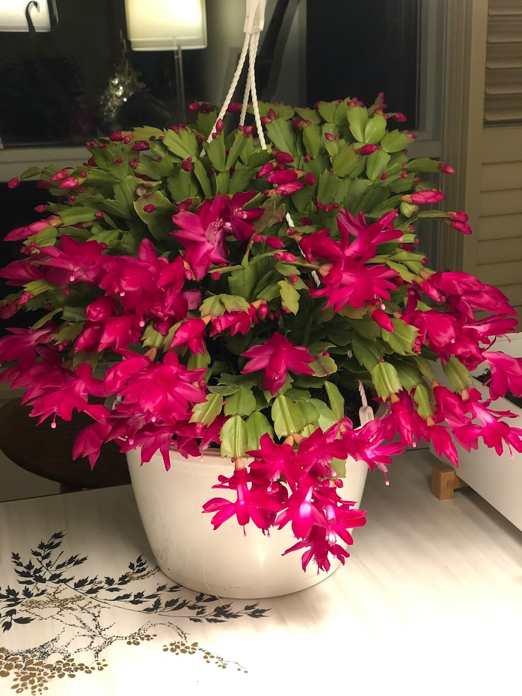 Westland Greenhouse (Jordan) Ltd | 4428 15th St, Jordan Harbour, ON L0R 1S0, Canada | Phone: (905) 562-7022