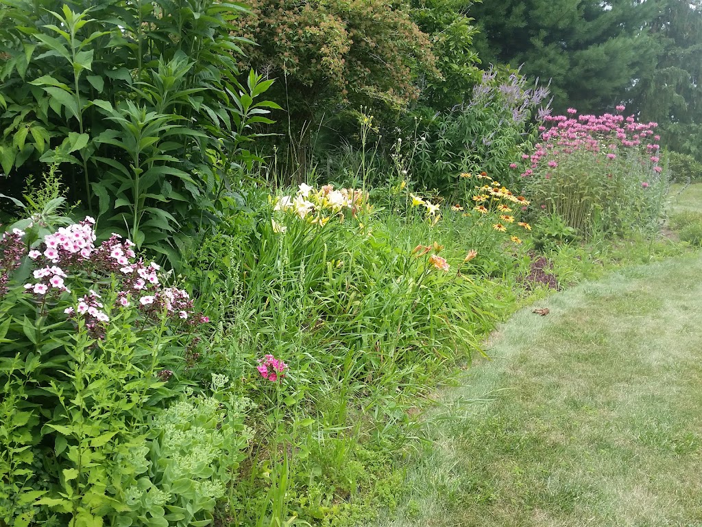 The Briar Patch Farm & Nursery | 4568 Highway #1, South Berwick, NS B0P 1E0, Canada | Phone: (902) 538-9164