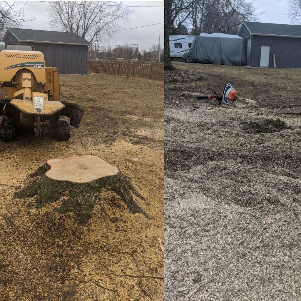 Eager Beaver Stump Removal | 11145 Ridge Line, Blenheim, ON N0P 1A0, Canada | Phone: (226) 626-4991