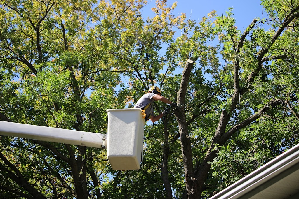 Dickies Tree and Shrub Care | 75 Townline, Orangeville, ON L9W 1V7, Canada | Phone: (905) 587-1587